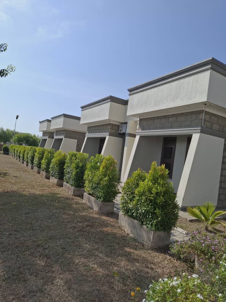 Under the African Sky